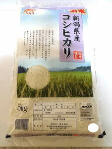 【送料無料】令和5年度産 新米5キログラム×10　新潟県産こしひかり