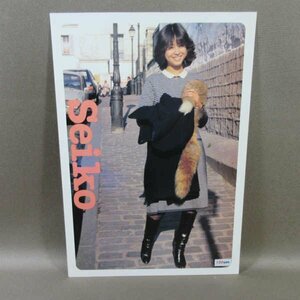 B439●松田聖子 紙製 下敷き