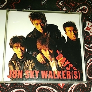 ＪＵＮ　ＳＫＹ　ＷＡＬＫＥＲ（Ｓ）/ＤＡＹＳ