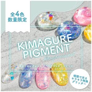 Bettygel◎きまぐれピグメント【ピエール◎新品4g】カラージェル ネイル