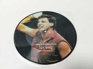 Bruce Springsteen THE INTERVIEWS/Picture Record/ピクチャー シングル 輸入盤/ブルース・スプリングスティーン