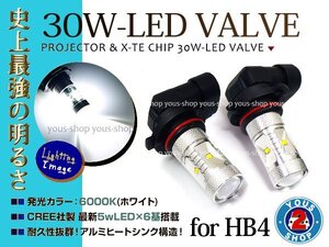 ブーンカスタム M300M310 LEDバルブ HB4 フォグランプ 30W 社外