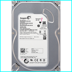 Seagate ST250DM000-1BD141-501 DP/N 0YVMKX 3.5インチ SATA600 250GB 905回 7546時間