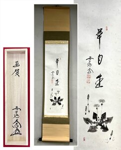 【千寿】大徳寺派 極楽禅寺 西垣大道 草自生 蒲公英 画賛 紙本 a306◆箱/茶道具/古美術/時代品/掛軸/100017676