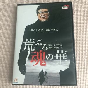 荒ぶる魂の華DVD