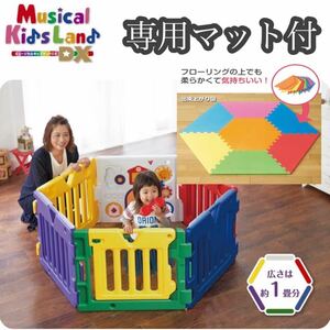 【美品】日本育児 ミュージカルキッズランドDX +専用マットセット