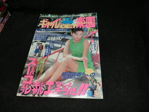 ギャルゲット楽園　ｖｏｌ、2　１９９６年１１月号　　24031