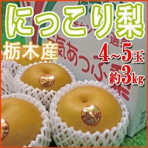 【Good】栃木産 高級梨『にっこり』4～5玉 約3kg ご予約