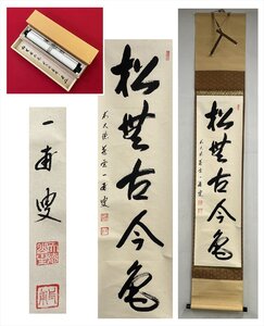 【千寿】大徳寺派 蔵雲寺 矢野一甫 松無古今色 一行書 紙本 d615◆箱/茶道具/古美術/時代品/掛軸/100023797