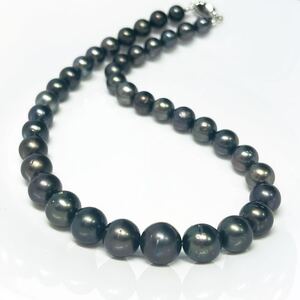 黒蝶真珠タヒチ　南洋真珠　ブラックパールネックレス ジュエリー アクセサリー pearl jewelry necklace 黒真珠 SILVER