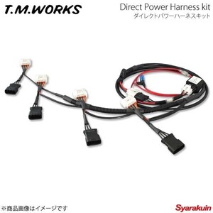 T.M.WORKS ダイレクトパワーハーネスキット クロスロード RT1/RT2 1800cc R18A 07.2～ DP1041