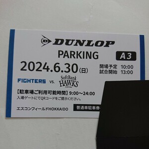 6/30エスコンフィールド駐車券DUNLOP_A3指定