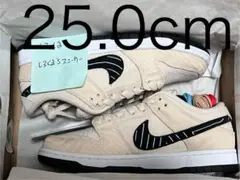 Albino & Preto × Nike SB Dunk Low Pro QS