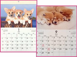 【送料無料：すぐに発送:2冊:可愛い 「子犬」カレンダー:A4 30x21cm】★2025年:壁掛け：犬 いぬ イヌ 仔犬★暦・こよみ:12面タイプ:No2