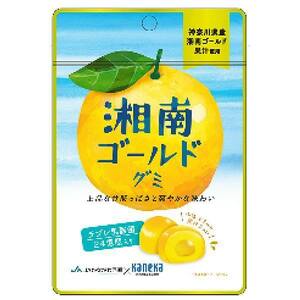 グミ 乳酸菌入り 湘南ゴールドグミ カネカ食品 美味しい スッキリ 甘酸っぱさ さわやかな味わい 果汁ジュレ ラブレ乳酸菌 みかん