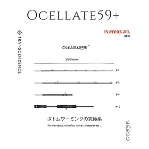 【TRANSCENDENCE/トランスセンデンス】Ocelate 59B / オセレイト /**