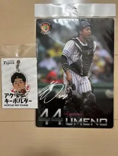 阪神タイガース　梅野隆太郎選手　キーホルダー　下敷き