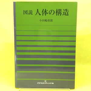 【図説 人体の構造】2020年発行/メヂカルフレンド社/見てわかる解剖学 決定版/人体解剖学/看護 基礎 教育/教科書/病気 医学/臓器 病院 健康