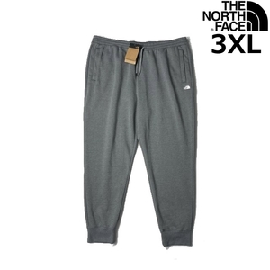 1円～!売切!【正規新品】THE NORTH FACE◆HALF DOME JOGGER PANT ジョガーパンツ US限定 裏起毛 ミニロゴ刺繍(3XL)グレー 190110-30