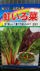 ３袋セット 虹色菜 カラフル ふだん草 フダンソウ 虹いろ菜 にじいろな 種 郵便は送料無料