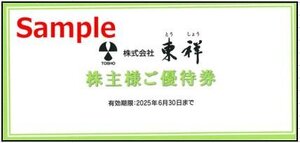 ◆06-02◆東祥 株主優待券(ホリデイスポーツクラブ施設利用券) 2枚set-E◆