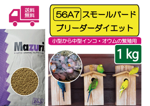 【期間限定SALE大特価】送料無料【Mazuriマズリ】繁殖用 小型インコ・オウム56A7 スモールバードブリーダー1kｇ