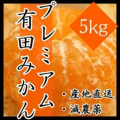 みかん 有田みかん 5㎏ 蜜柑 減農薬 ミカン 濃厚 甘い 高糖度 産地直送