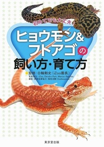 ヒョウモン＆フトアゴの飼い方・育て方－初めてでも大丈夫！