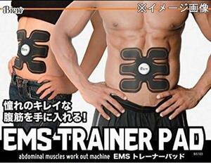 新品２枚　美庵 Abs Fit アブスフィット専用替えパット　シックスパック