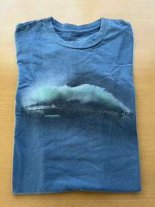 USA製 patagonia S/S TEE 半袖Tシャツ Msize navy パタゴニア