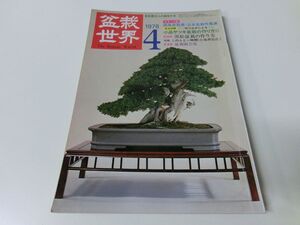 盆栽世界 1978年4月号