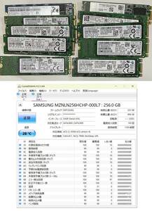 ジャンク扱い 各社 256GB SSD 2280仕様 10枚まとめて M.2 2280 SATA SSD