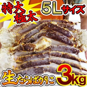 【ヤフオク 年末年始対応商品】【送料無料】2024年 特太５Lサイズ 生タラバガニ３ｋｇ（2～3肩入）【 たらば　たらばがに 蟹 カニ 】aa