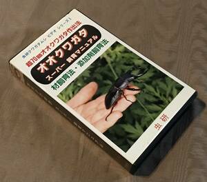 オオクワガタ スーパー飼育マニュアル　虫研　検索：飼育材 添加剤 飼育材飼育法 添加剤飼育法 国産 88mm ブリード 個体 ビークワ