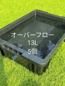 メダカ容器　13L　5個　オーバーフロー