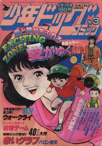 少年ビッグコミック 1982年3号 昭和57年 みゆき ホットプリント あだち充 所ジョージ 新谷かおる 小山ゆう 尾瀬あきら 村生ミオ 倉田よしみ