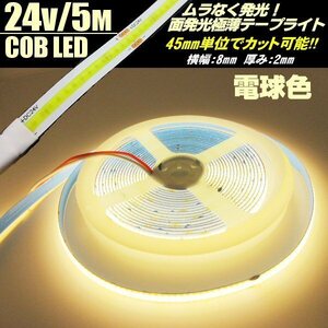 トラック 面発光 つぶつぶ感なし 24V 5M 極薄 2mm COB LED テープライト 電球色 ウォームホワイト 柔軟 切断 カット アイライン チューブ