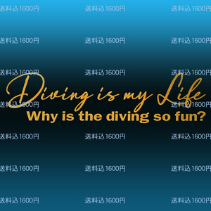 Diving is my Lifeダイビングは我が人生カッティングステッカー Why is the diving so fun?ダイビングはなぜこんなに楽しいのか？NO632