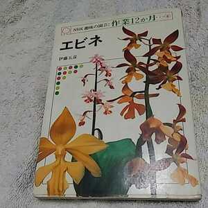 【9】エビネ●NHK趣味の園芸●本●昭和51年発行