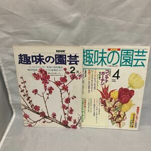 NHK 趣味の園芸 昭和49年 2月 うめをたのしむ、盆栽 / 1997年　4月　コンテナガーデン　ハナミズキ　ガーデンニング　付録無し　全2冊