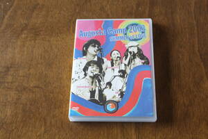 ■送料無料■Augusta Camp 2003 SUMMER of LOVE■DVD■