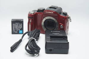 ★訳あり★PANASONIC LUMIX DMC-G1 #2128_FU8JA002492