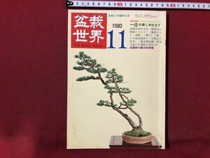 ｍ〇〇　盆栽世界　1980.11　一位の挿し木仕立て　昭和55年11月発行　/I87
