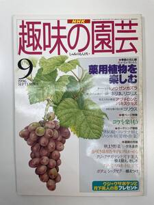 NHK 趣味の園芸 1996年9月 薬用植物を楽しむ ネリネ リコリス他【K110532】