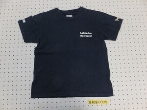 Labrador Retriever ラブラドールレトリバー レディース フォトプリント半袖Tシャツ S 紺