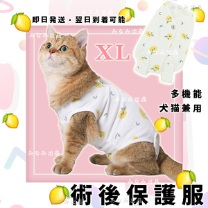 【レモン柄XL】猫犬 術後服 離乳避妊手術 皮膚保護雌 エリザベスカラー ウェア ペット服