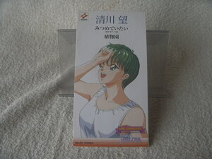 ★ 清川望 【みつめていたい】 ときめきメモリアル　8㎝シングル SCD 
