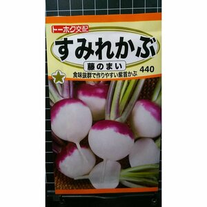 ３袋セット すみれ かぶ 藤のまい 紫首 カブ 種 郵便は送料無料