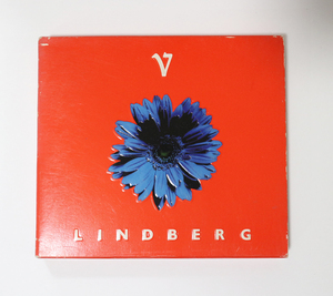 ＬＩＮＤＢＥＲＧ「ＬＩＮＤＢＥＲＧ V」／渡瀬マキ ＬＩＮＤＢＥＲＧ５