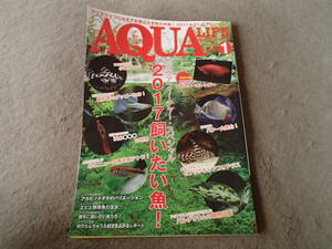 月刊 アクアライフ 2017 1 No.450 エムピージェー コリドラス プレコ インペリアルゼブラプレコ ヒパブリコン 書籍 本